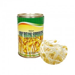 PANASIA PANASIA Soybean Sprout in Can 400g 1
